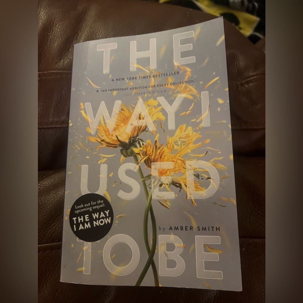 The Way I Used To Be - Amber Smith Paperback book